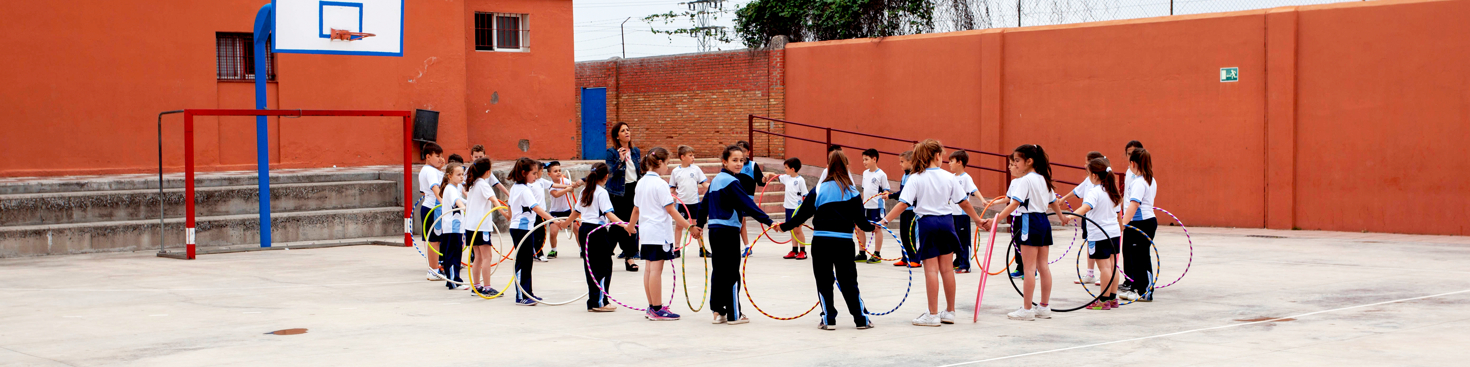 Diversidad Safa